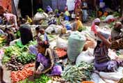 At the market at Dire Dawa. East, Ethiopia.