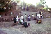 Fire wood sellinf at Lalibela market. North,  Ethiopia.