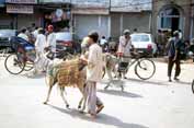 Street at old Delhi. India.
