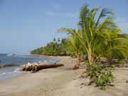 Beach at Manzanillo. Costa Rica.