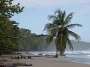 Beach at Manzanillo. Costa Rica.