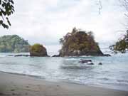 National park Manuel Antonio. Costa Rica.