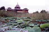 Inle lake area. Myanmar (Burma).