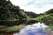 Lake. Kalaw area. Myanmar (Burma).