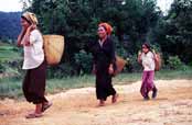 On the way from market. Myanmar (Burma).
