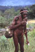 Villager from Dani tribe carries sweet potatoes in basket from orchid fibres. Papua, Indonesia.