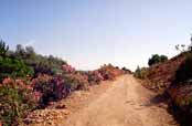 Coast. Crete. Greece.