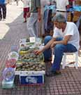 Rabat town. Morocco.