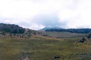 Horton Plains national park. Sri Lanka.
