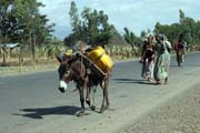 Village south of Addis Abbeba. Ethiopia.