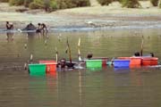 The salt is retrieving from the lake without any mechanization. Salt Lake, El Sod. South, Ethiopia.