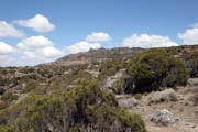 Bale Mountain National Park. Ethiopia.