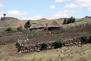 Bale Mountain National Park. Ethiopia.