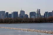 Cental Park, Manhattan, New York. United States of America.