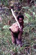 Villager from Dani tribe. Papua,  Indonesia.