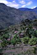 Traditional village of Dani tribe. Papua, Indonesia.