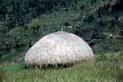 Dani hut. Papua, Indonesia.