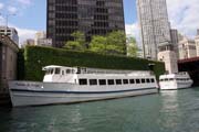 Chicago. United States of America.