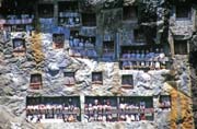 Traditional graves at Lemo village. Tau tau figures can be seen at galleries in front of graves. Tana Toraja area. Indonesia.