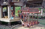 Funeral preparing. Tana Toraja area. Indonesia.