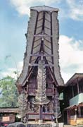 Traditional house tongkonan, Tana Toraja area. Indonesia.