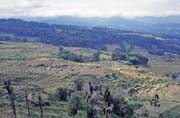Landscape. Tana Toraja area. Indonesia.