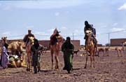 Cattle market at Djbok village. Mali.
