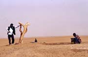 Well at the edge of an oasis. Sahara desert. Mali.