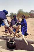 Well at the edge of an oasis. Sahara desert. Mali.