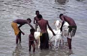 Cleanup at Niger river, Sgou city. Mali.
