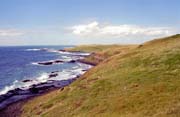 Coast near Great Ocean Road. Australia.