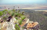 Flinders Ranges national park. Australia.