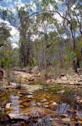 Mount Remarkable national park. Australia.