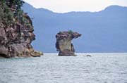 Bako national park. Malaysia.
