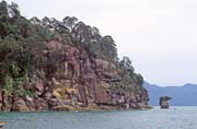 Bako national park. Malaysia.