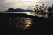 Bako national park. Malaysia.