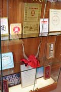 Shop with traditional chinese medicine. Hong Kong.
