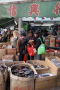 Shop with traditional chinese medicine. Hong Kong.