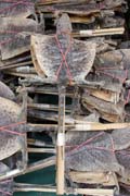 Shop with traditional chinese medicine. Hong Kong.
