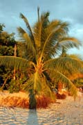 Malapascua island. Philippines.