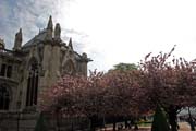 Notre Dame cathedral, Ile de la Cit, Paris. France.