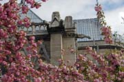 Notre Dame cathedral, Ile de la Cit, Paris. France.