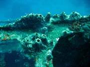 Wrack of steel Dutch merchant ship, sunk in 1942. Diving around Bunaken island, Molas Wreck dive site. Indonesia.