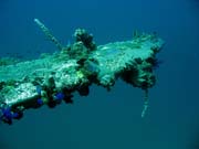 Diving around Togian islands, Kadidiri, plane wreck B24 from the 2nd World War sunken on Mai 3rd, 1945. Indonesia.