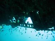 Diving around Togian islands, Kadidiri, plane wreck B24 from the 2nd World War sunken on Mai 3rd, 1945. Indonesia.
