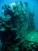 Diving around Togian islands, Kadidiri, plane wreck B24 from the 2nd World War sunken on Mai 3rd, 1945. Sulawesi,  Indonesia.