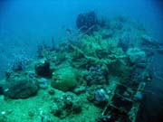 Diving around Togian islands, Kadidiri, plane wreck B24 from the 2nd World War sunken on Mai 3rd, 1945. Indonesia.