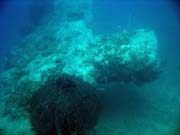 Diving around Togian islands, Kadidiri, plane wreck B24 from the 2nd World War sunken on Mai 3rd, 1945. Indonesia.