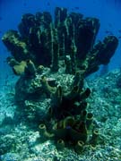 Diving around Togian islands, Una Una, Fishermania/Pinnacle dive site. Indonesia.