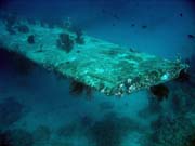 Diving around Biak islands, Catalina wreck dive site. Papua, Indonesia.